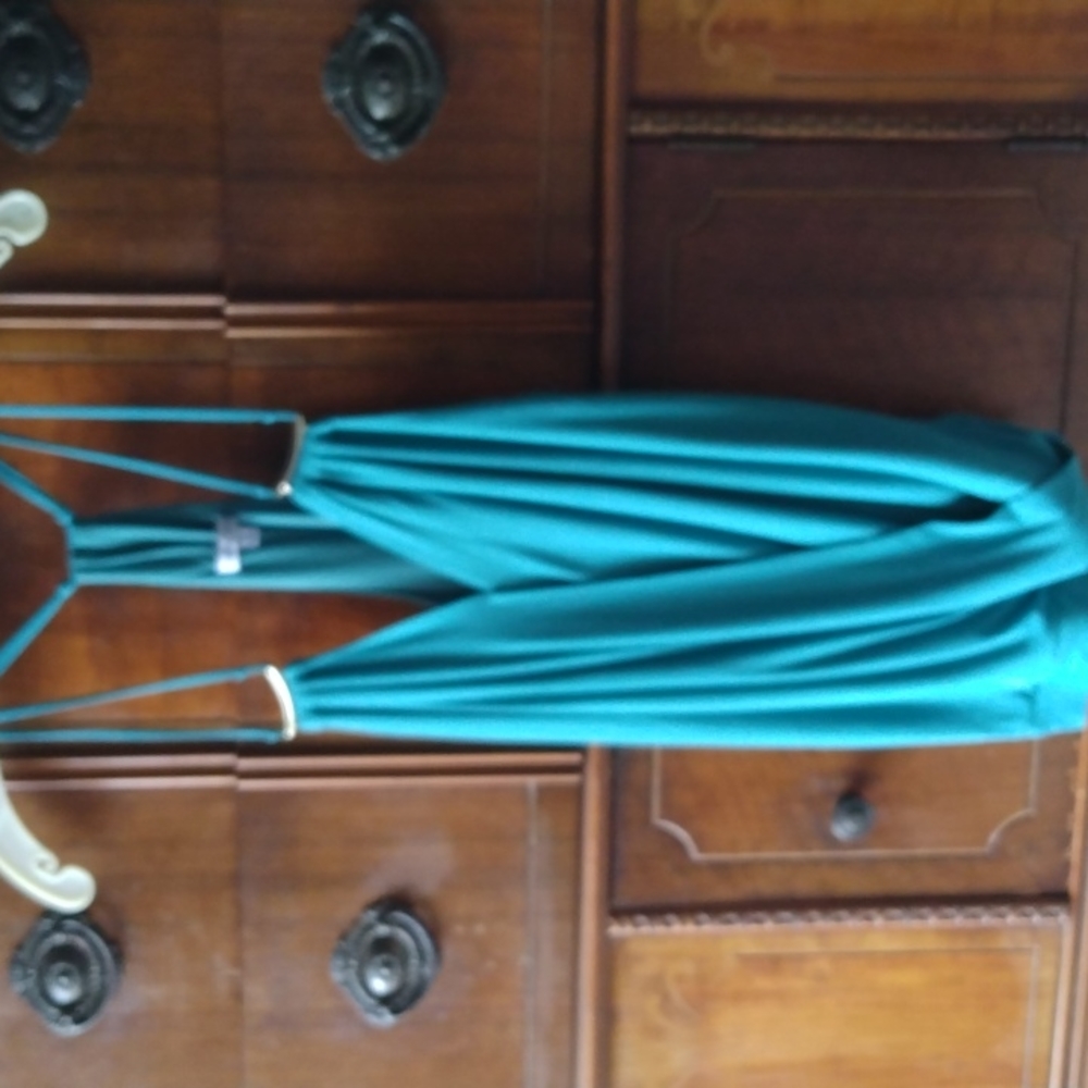 Naked Zebra Teal Tank Top Blouse